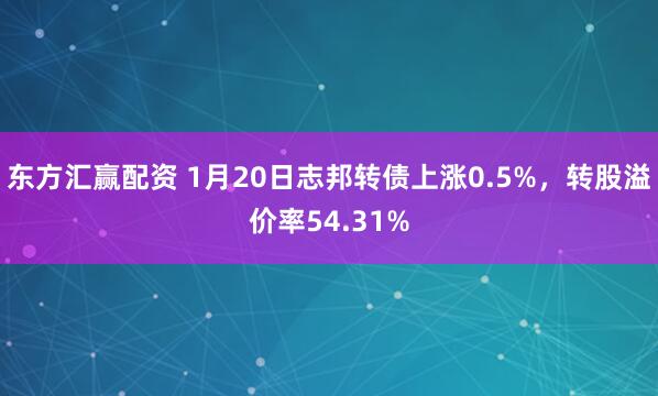 东方汇赢配资 1月20日志邦转债上涨0.5%，转股溢价率54.31%